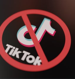 TikTok logo with a ban symbol on top