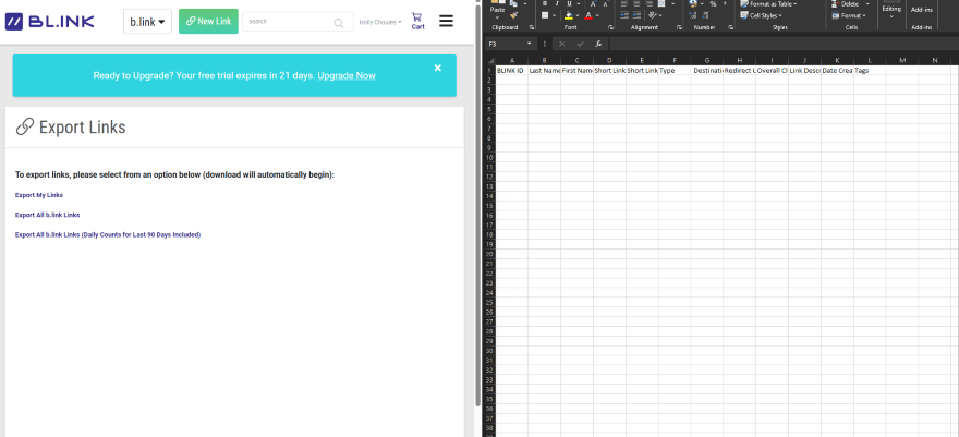 Screenshot of a blank excel sheet that hold's links from a BL.INK account