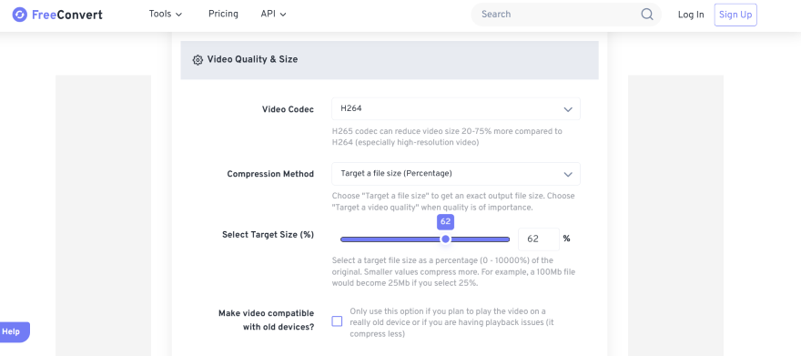 Screenshot of settings for a video converter tool