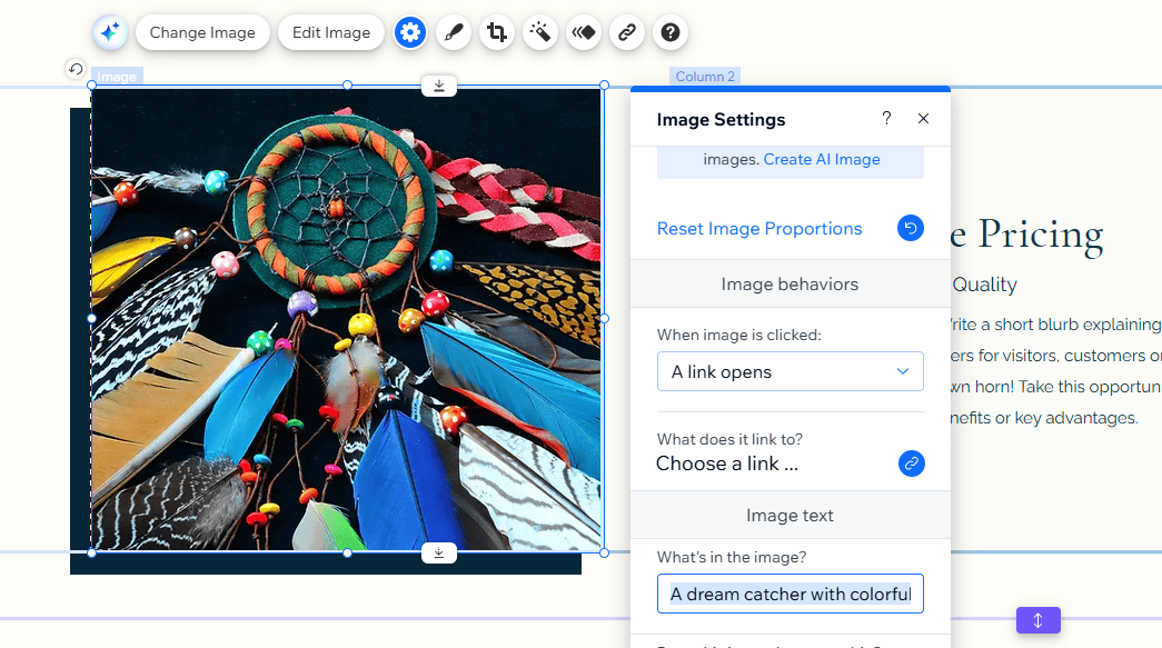 Pop up box in Wix's editor when editing an image, showing the option to add alt text